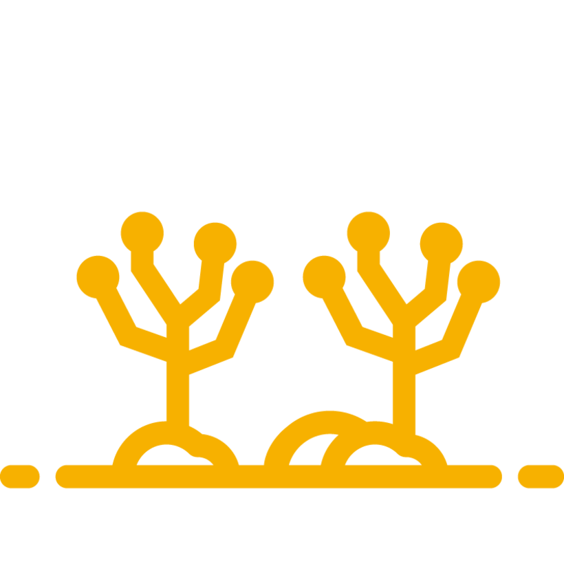 stats icon voor knotbomen geplant en 97 onderhouden 11